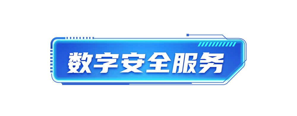 11-V2-9数字安全服务(gai)(1)_01