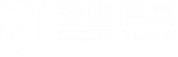 北京安盟信息技术股份有限公司
