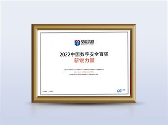 中国数字安全百强-新锐力量